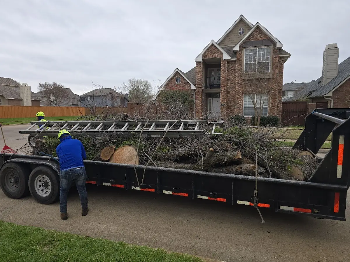 Expert Lot Clearing with proper safety equipment in Stanwood